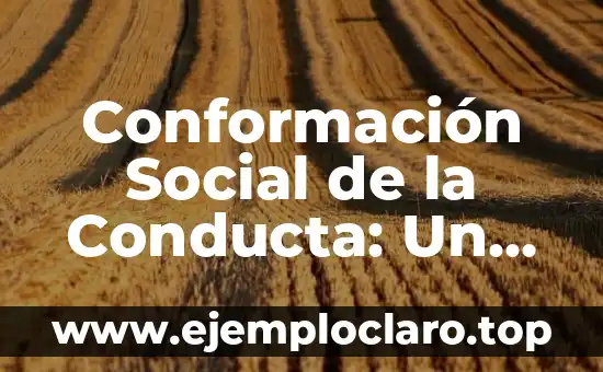 Disciplina: El Arte de la Conducta Regulada 4 Conformación Social de la Conducta: Un Enfoque Integral