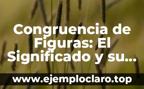 Congruencia de Escala en Geografía: Un Concepto Fundamental 8 Congruencia de Figuras: El Significado y su Importancia