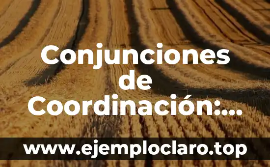 Concepto, definición y significado de coordinación 6 Conjunciones de Coordinación: significado y uso en español