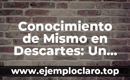 Borde Libre de la Una Significado: Explorando un Concepto Filosófico 4 Conocimiento de Mismo en Descartes: Un Enfoque Filosófico
