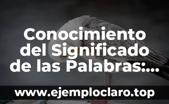 La Habilidad de Conocer: Un Viaje al Conocimiento y la Sabiduría 5 Conocimiento del Significado de las Palabras: La Base del Lenguaje