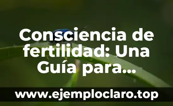 Consciencia de fertilidad: Una Guía para Entender tu Cuerpo