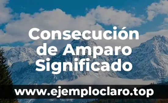 Interponer Recurso de Amparo Significado 6 Consecución de Amparo Significado