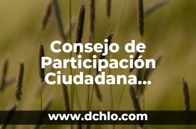 El significado de la seguridad ciudadana 5 Consejo de Participación Ciudadana Significado