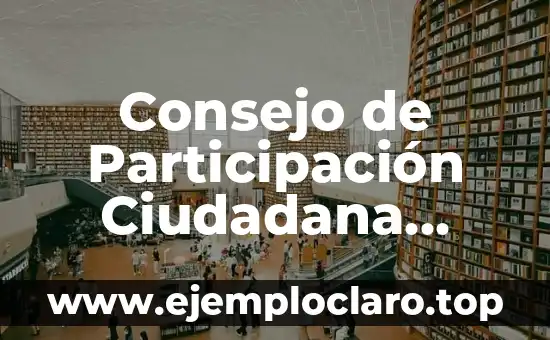 Consejo de Participación Ciudadana Significado