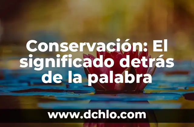 Zalameramente: Descubre el significado detrás de esta palabra 7 Conservación: El significado detrás de la palabra