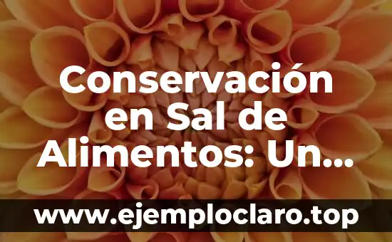 Conservación en Sal de Alimentos: Un Enfoque Integral