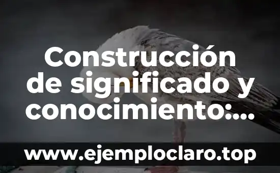 Empavonados - El Arte de la Construcción de Pavimentos 6 Construcción de significado y conocimiento: El arte de crear significado