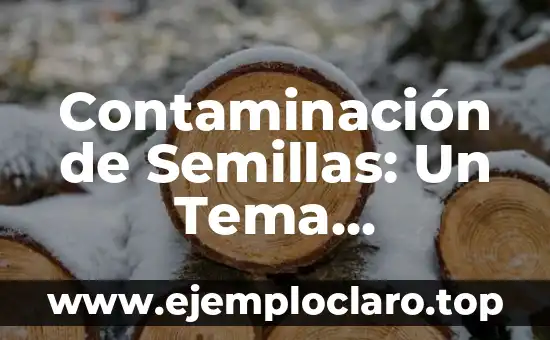 Contaminación de Semillas: Un Tema Fundamental en Agricultura