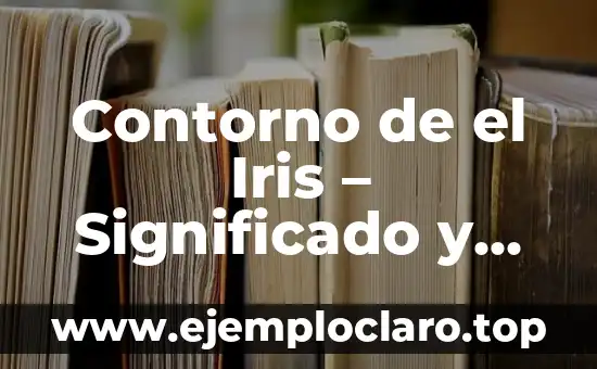 Contorno en confección de ropa: Un concepto esencial en la moda 7 Contorno de el Iris – Significado y Características