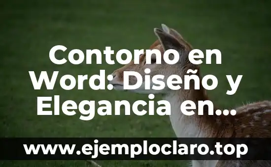 Contorno en confección de ropa: Un concepto esencial en la moda 8 Contorno en Word: Diseño y Elegancia en Documentos