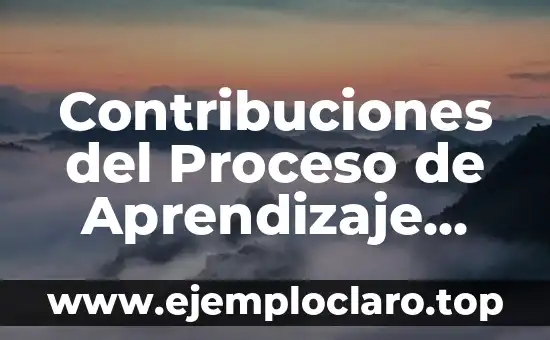 Cuánto tarda un cuerpo en descomponerse en un ataúd: La verdad sobre el proceso de descomposición 7 Contribuciones del Proceso de Aprendizaje Significativo