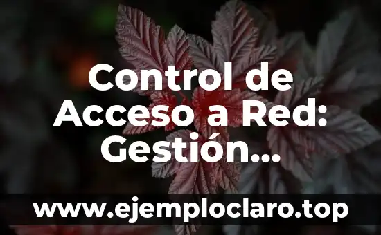 Audiencia de los confines: un concepto esencial en la comunicación efectiva 3 Control de Acceso a Red: Gestión Efectiva de la Seguridad