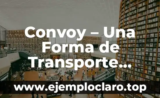 Cómo hacer el abono transporte Madrid 6 Convoy – Una Forma de Transporte Efectiva