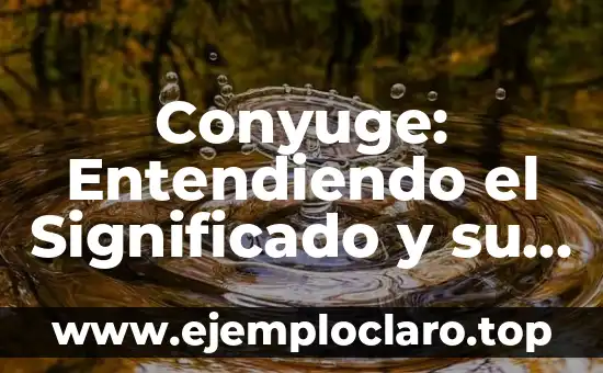 Entendiendo el Concepto de Hábitat 5 Conyuge: Entendiendo el Significado y su Importancia Legal