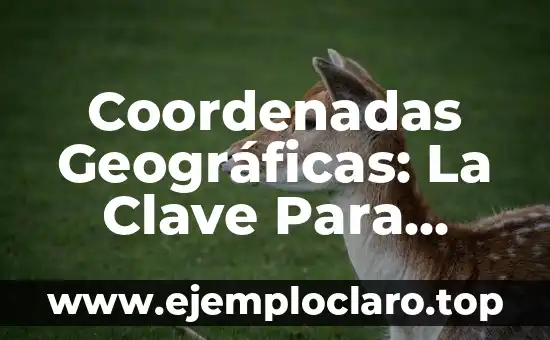 Zona de Vigilancia Aduanera: Un Concepto Clave en la Seguridad Fronteriza 8 Coordenadas Geográficas: La Clave Para Ubicar Cualquier Lugar en el Mundo