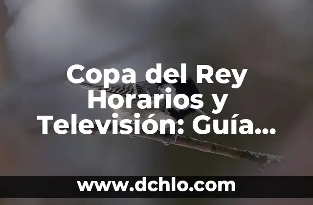 Copas del Rey Horarios y TV: Guía Completa de la Competición Española 3 Copa del Rey Horarios y Televisión: Guía Completa de la Competición