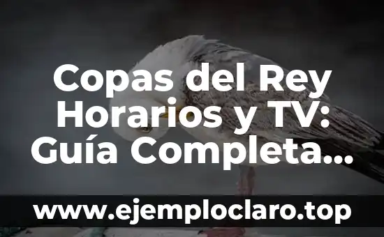 Copas del Rey Horarios y TV: Guía Completa de la Competición Española
