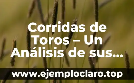 Corridas de Toros – Un Análisis de sus Significados