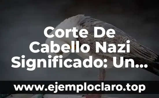 Suprema Corte de Justicia significado 8 Corte De Cabello Nazi Significado: Un Símbolo Histórico