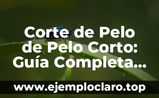 Corte de Pelo de Pelo Corto: Guía Completa y Actualizada
