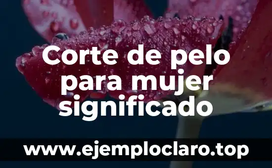 Suprema Corte de Justicia significado 4 Corte de pelo para mujer significado