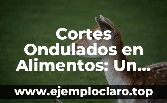 Cortes Ondulados en Alimentos: Un Enfoque en la Estética y la Funcionalidad