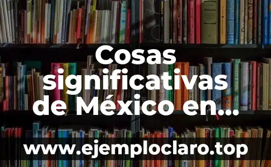 Características de Justicia Significativas de Solidaridad 7 Cosas significativas de México en dibujo: Un viaje gráfico a través de lo mexicano