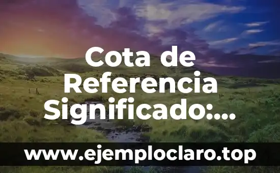 Cota de Referencia Significado: Una Guía Completa