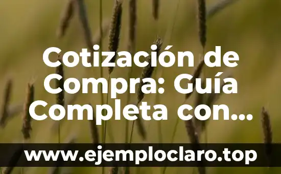 Significados de Fonética en Inglés - Una Guía Completa 6 Cotización de Compra: Guía Completa con sus Significados y Ejemplos