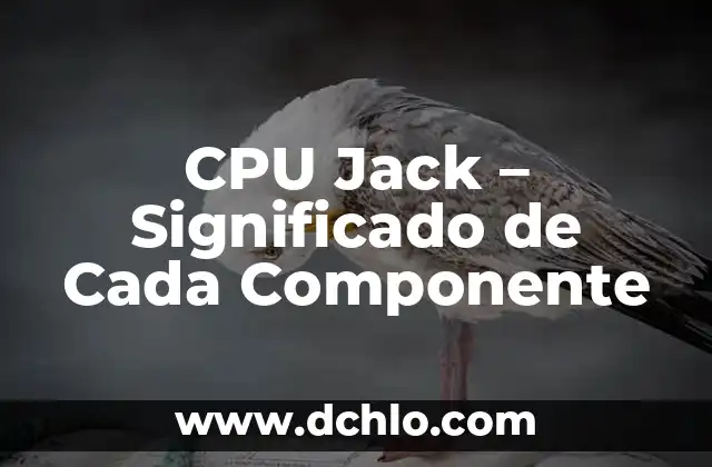 ¿Qué es un Procesador de Ordenador? (CPU) - Definición y Funciones 4 CPU Jack – Significado de Cada Componente