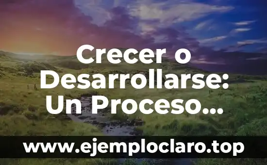 Crecer o Desarrollarse: Un Proceso Integral