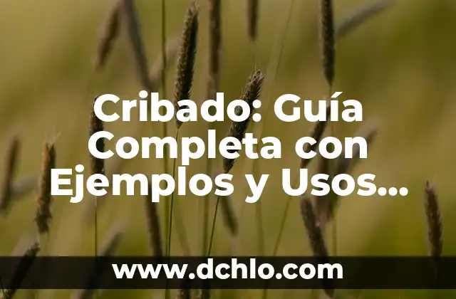 Significado en inglés de Clean: Descubre su definición y usos 7 Cribado: Guía Completa con Ejemplos y Usos Prácticos