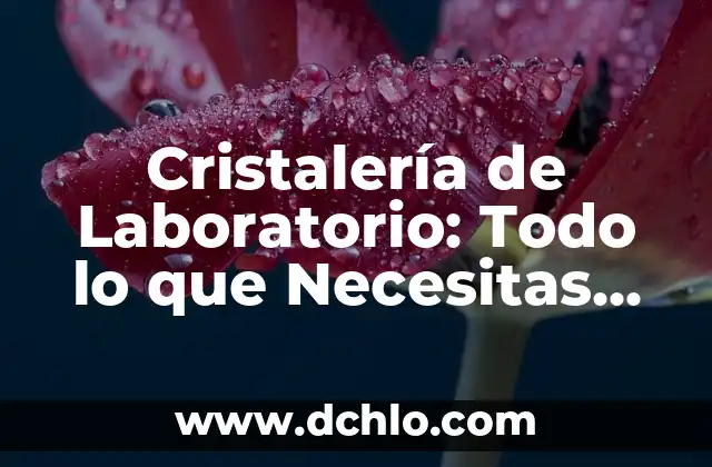 El Significado Laboratorio de Biología: Un Entorno Esencial para el Conocimiento Científico 7 Cristalería de Laboratorio: Todo lo que Necesitas Saber