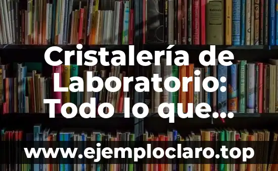 Cristalería de Laboratorio: Todo lo que Necesitas Saber