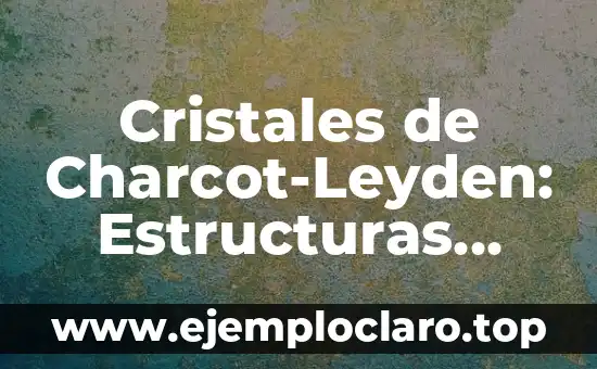 Cristales de Colores: Más que Solo Belleza 6 Cristales de Charcot-Leyden: Estructuras Microscópicas con Gran Significado