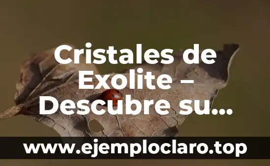 Cristales de Colores: Más que Solo Belleza 8 Cristales de Exolite – Descubre su Significado y Poder