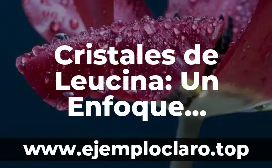 Cristales de Colores: Más que Solo Belleza 5 Cristales de Leucina: Un Enfoque Integral