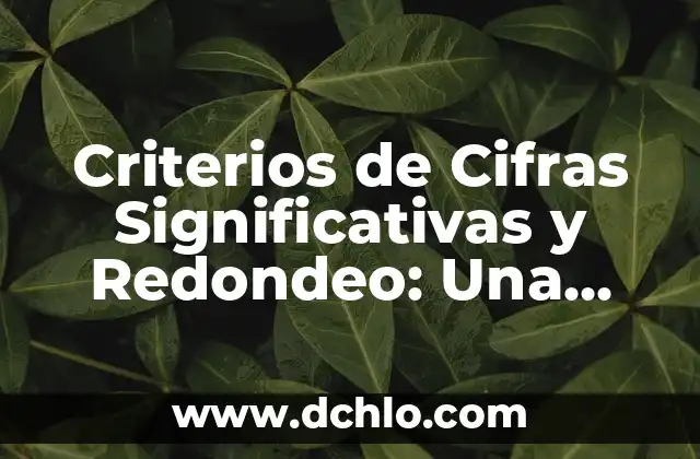 Criterios de Semejanza de Triángulos Significativos 6 Criterios de Cifras Significativas y Redondeo: Una Guía Completa