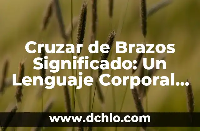 Indignación: Un Sentimiento Universal 4 Cruzar de Brazos Significado: Un Lenguaje Corporal Universal