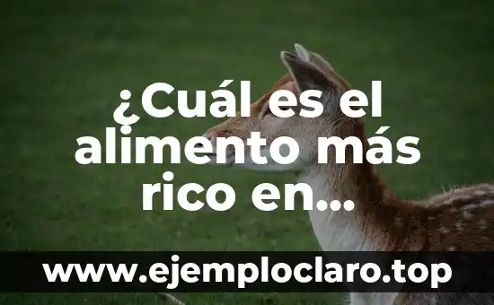 ¿Cuál es el alimento más rico en magnesio? Descubre los alimentos que te brindan una dosis saludable de magnesio