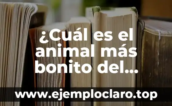 ¿Cuál es el animal más bonito del mundo? - Descubre los más bellos seres de la naturaleza