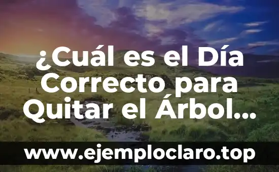 ¿Cuál es el Día Correcto para Quitar el Árbol de Navidad?