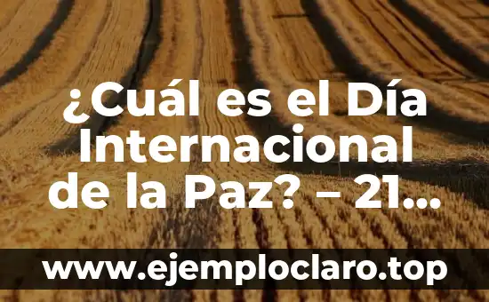 ¿Qué es la Liga de Naciones? - La Historia y el Propósito Detrás de Esta Organización Internacional 8 ¿Cuál es el Día Internacional de la Paz? – 21 de Septiembre