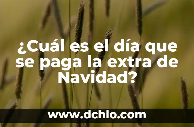 ¿Cuándo se cobra la paga extra de Navidad en México? 8 ¿Cuál es el día que se paga la extra de Navidad?