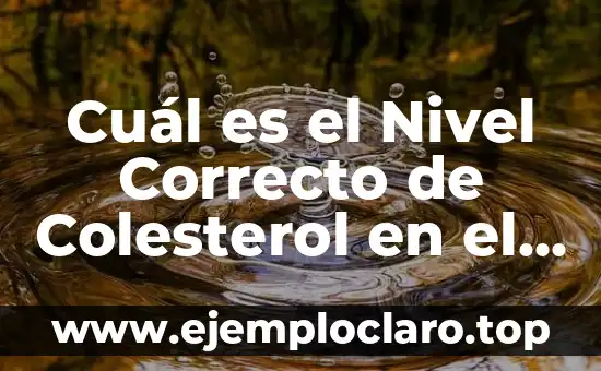 Cuál es el Nivel Correcto de Colesterol en el Cuerpo para una Salud Óptima