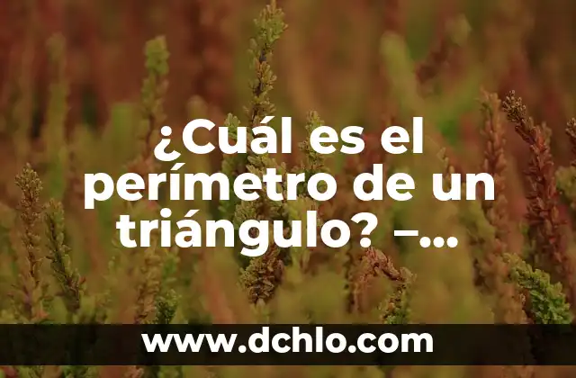 Divisibilidad de 1: ¿Cuál es el Significado de que cualquier Número es Divisor de 1? 4 ¿Cuál es el perímetro de un triángulo? – Cálculo y Fórmulas Matemáticas