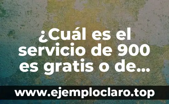 Introducci贸n al Concepto de Comprobante de Pago de Derechos 7 驴Cu谩l es el servicio de 900 es gratis o de pago?