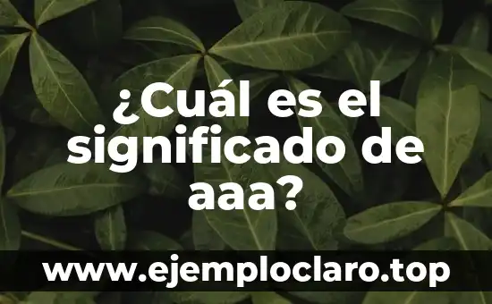 ¿Qué es el Vestido Dorado o Azul? La Ilusión Óptica que Divide a la Sociedad 5 ¿Cuál es el significado de aaa?