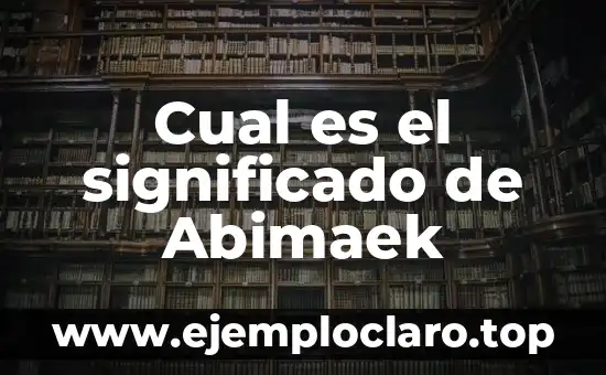 ¿Qué es una Centrifuga? Definición y Usos 4 Cual es el significado de Abimaek